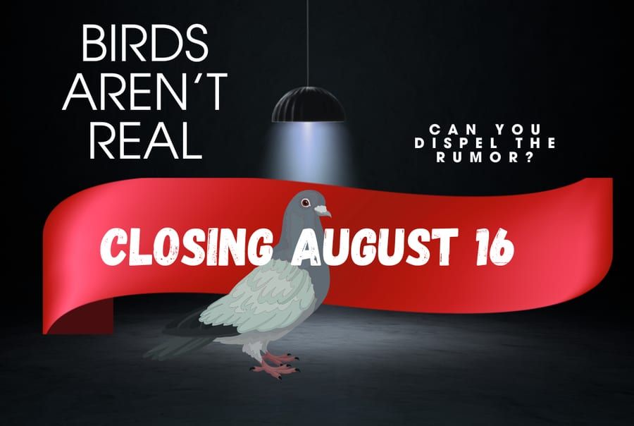 Birds Aren't Real escape room, closing August 16