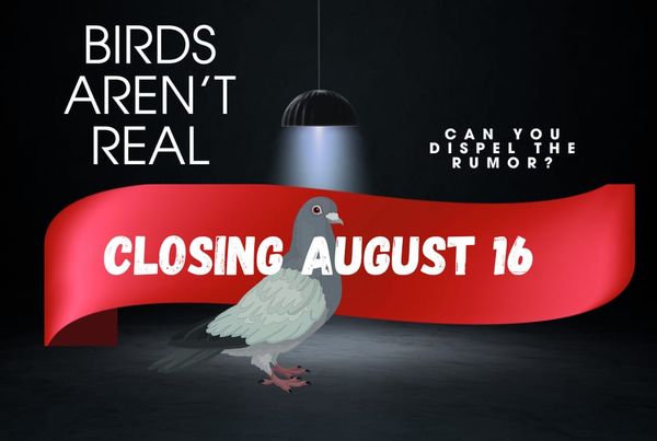 Birds Aren't Real escape room at Escaped In Time, closing August 16 - can you dispel the rumor?