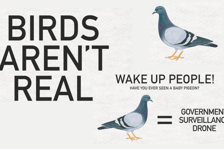 Birds Aren't Real escape room poster