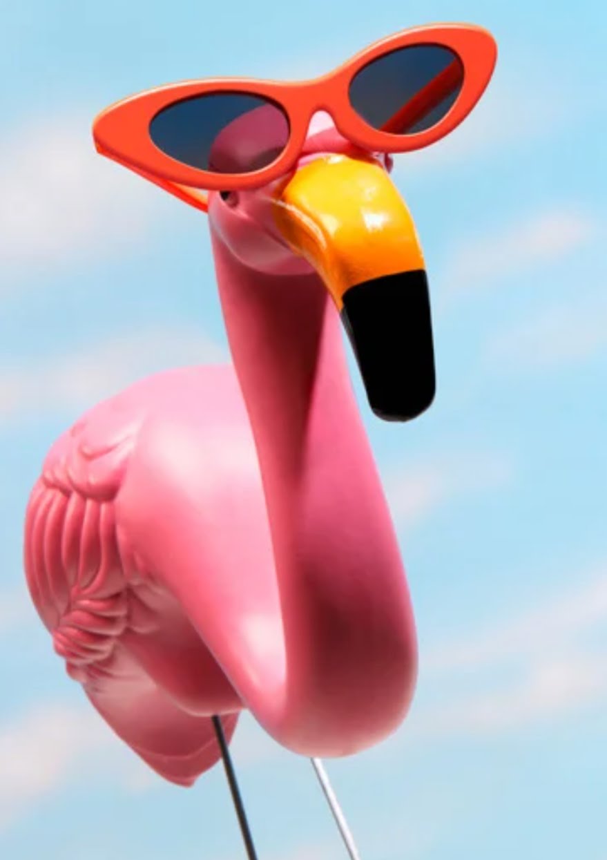 Spring Break promo at escaped in time escape room